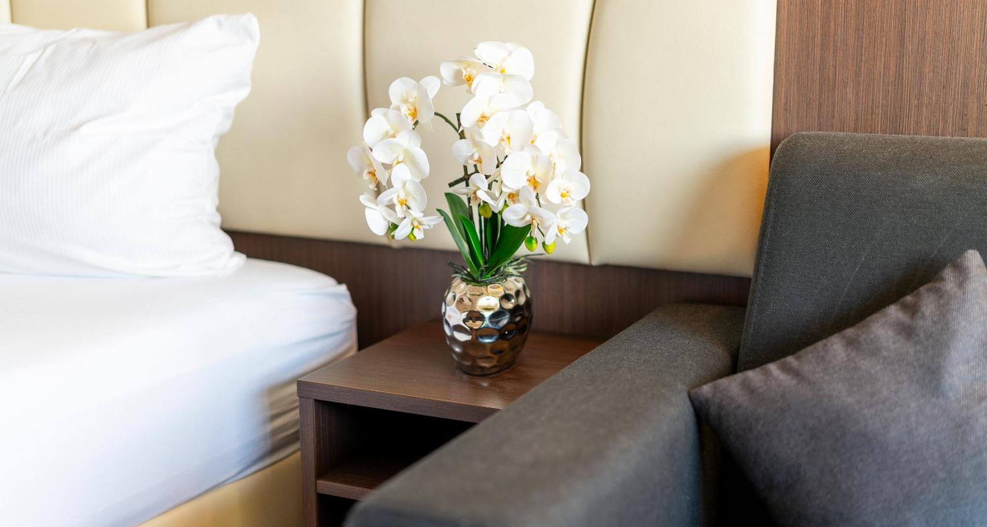 Plaza Hotel Foehr Am Bodensee Friedrichshafen Ngoại thất bức ảnh