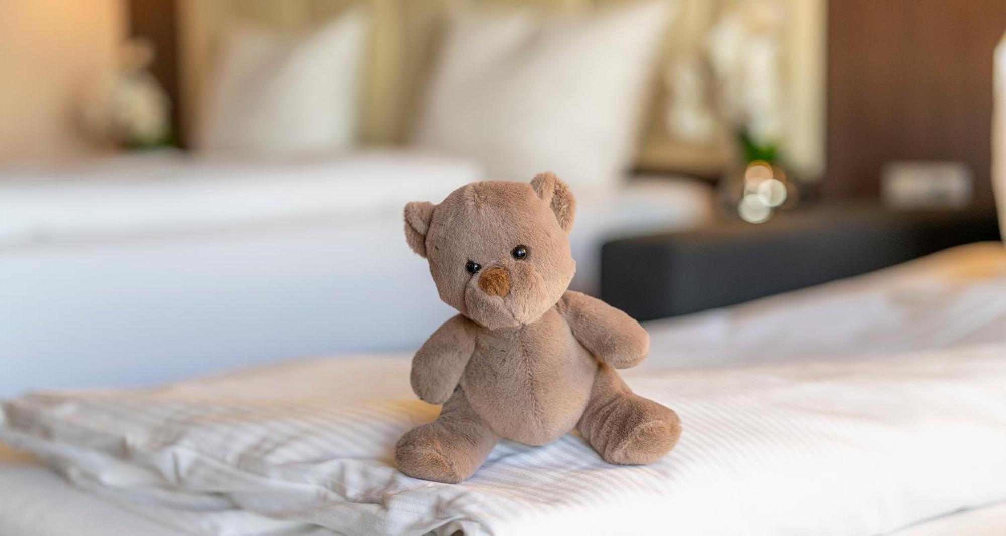 Plaza Hotel Foehr Am Bodensee Friedrichshafen Ngoại thất bức ảnh
