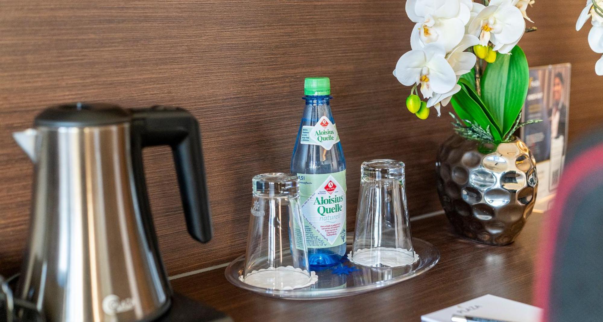 Plaza Hotel Foehr Am Bodensee Friedrichshafen Ngoại thất bức ảnh