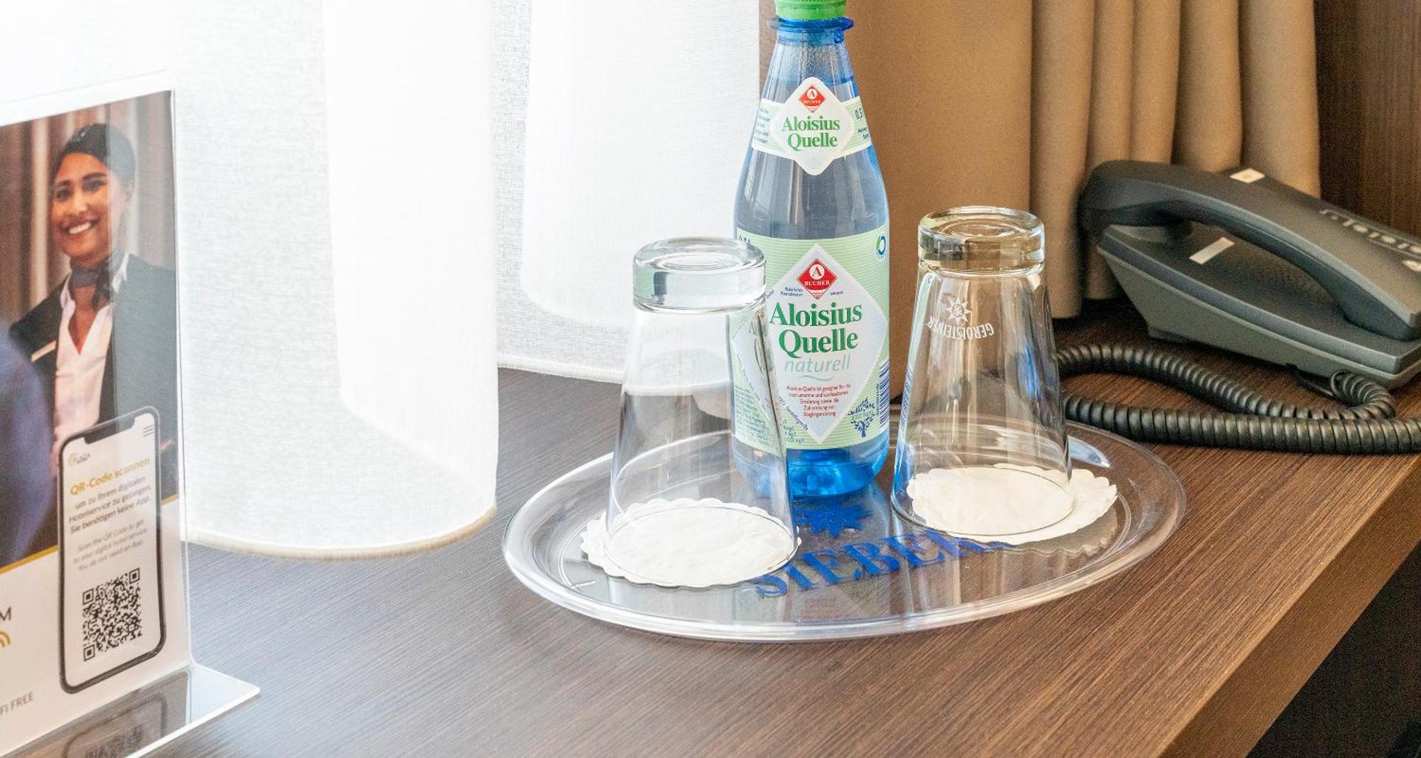 Plaza Hotel Foehr Am Bodensee Friedrichshafen Phòng bức ảnh